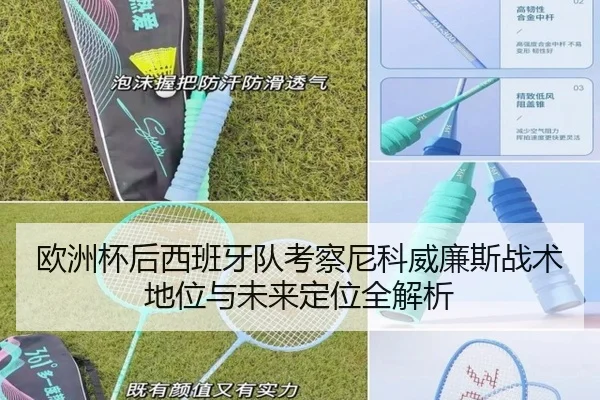 欧洲杯后西班牙队考察尼科威廉斯战术地位与未来定位全解析